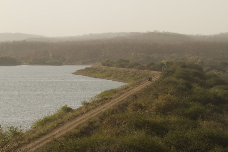 Kamleshwar Dam - Wildlife